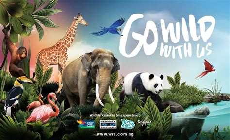 singapore zoo website animals